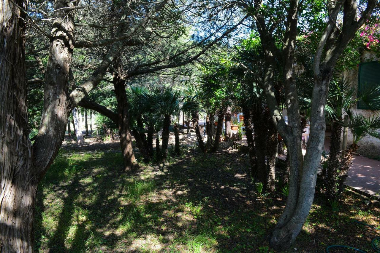 Villa Margherita Alghero Zewnętrze zdjęcie